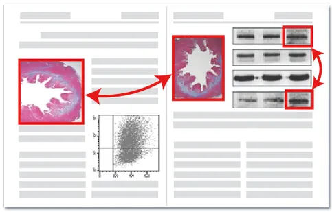 论文图片查重检测示意图