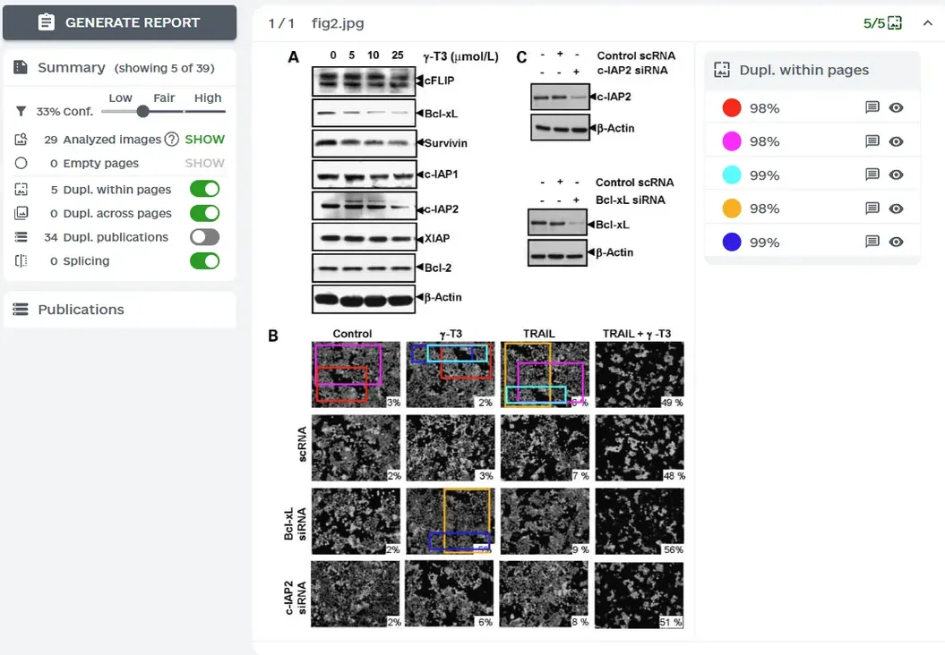 ImageTwin图片查重报告示例